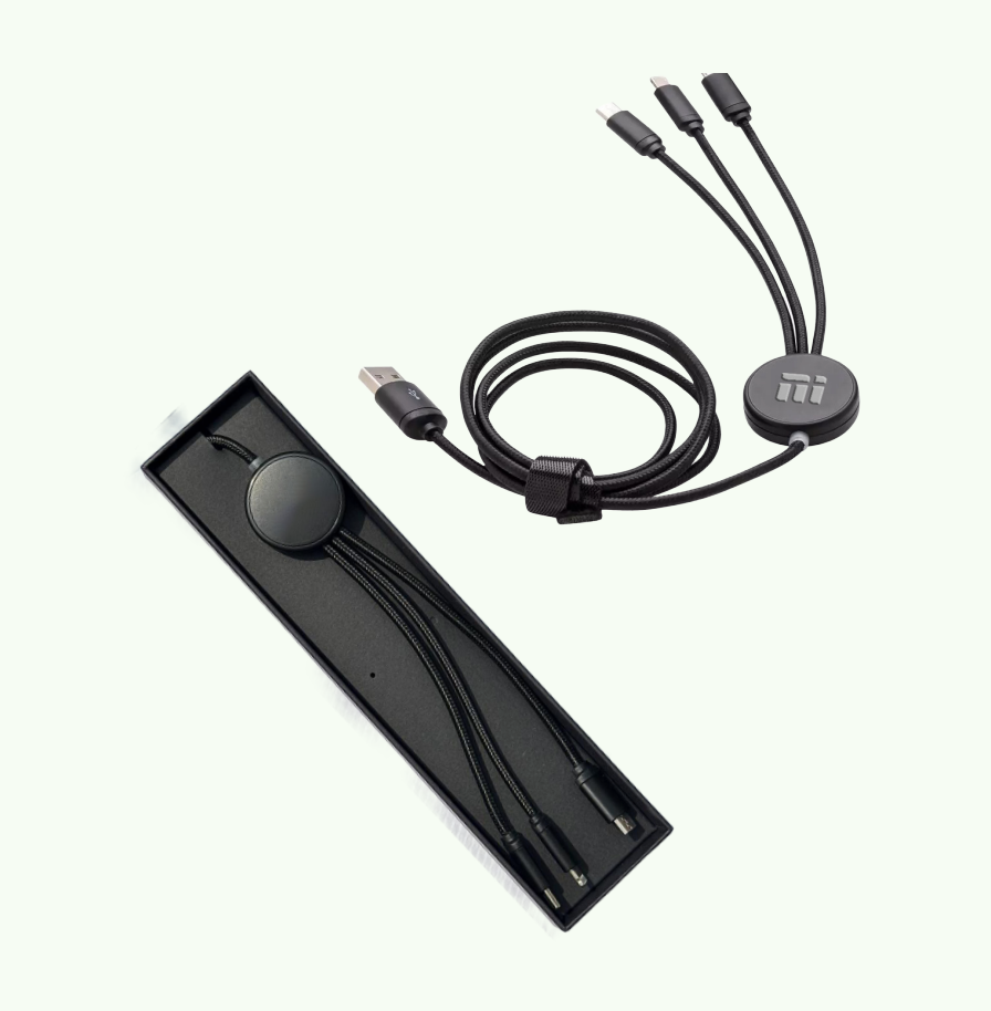 Ion Charging Cable